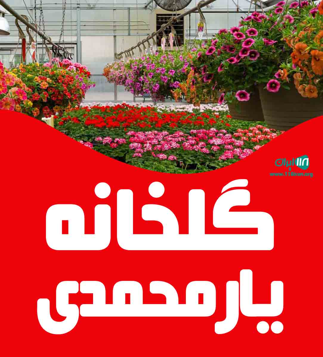 گلخانه یارمحمدی در کاشمر گلخانه یارمحمدی در کاشمر