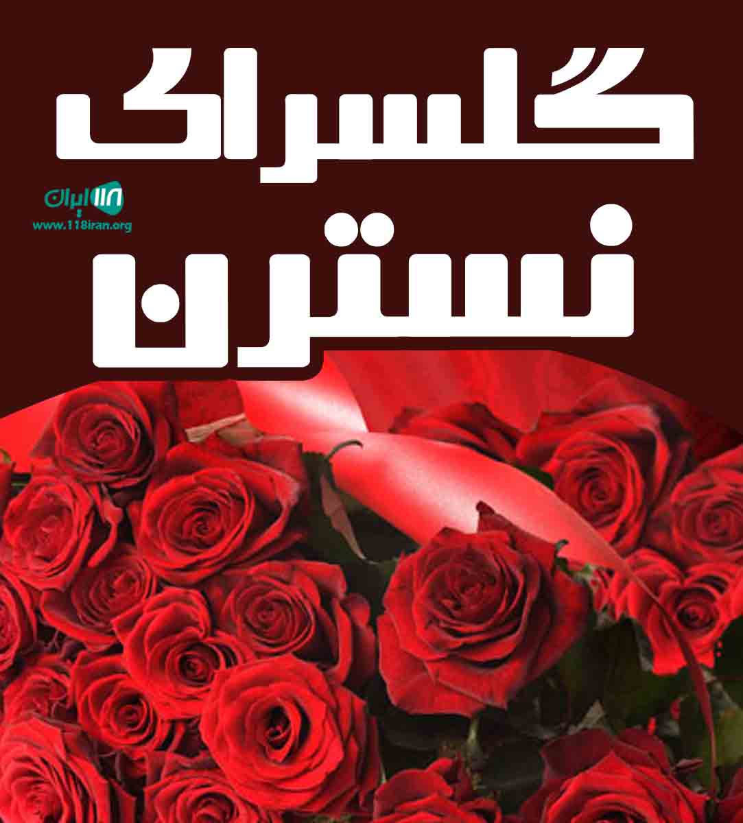گلسرای نسترن در داراب