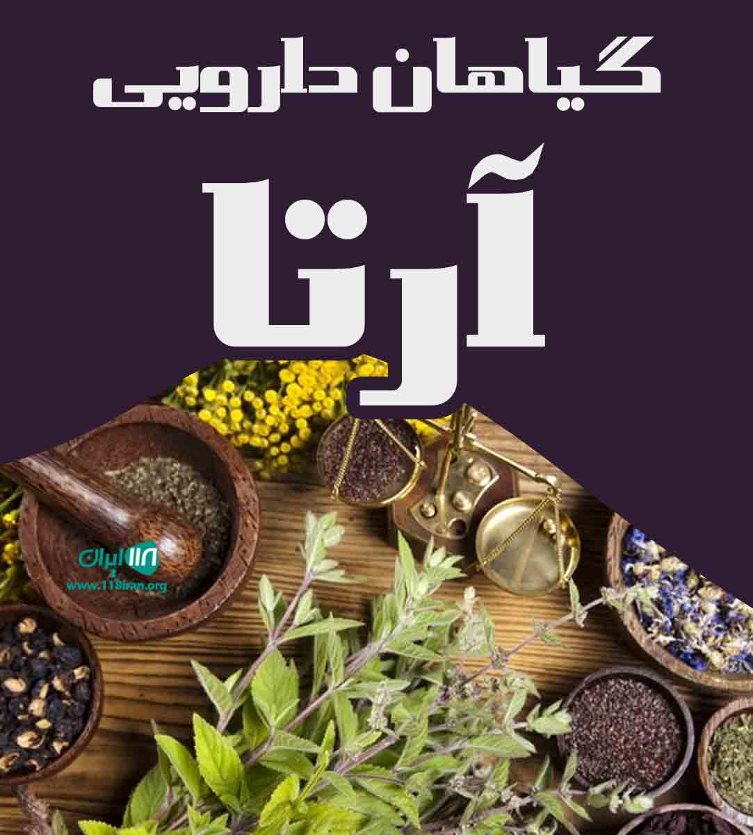 گیاهان دارویی آرتا در شیراز