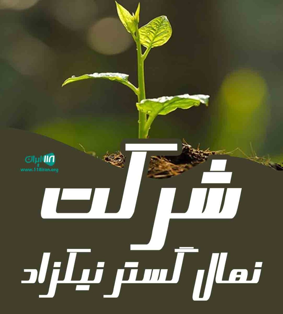 شرکت نهال گستر نیکزاد در میاندوآب