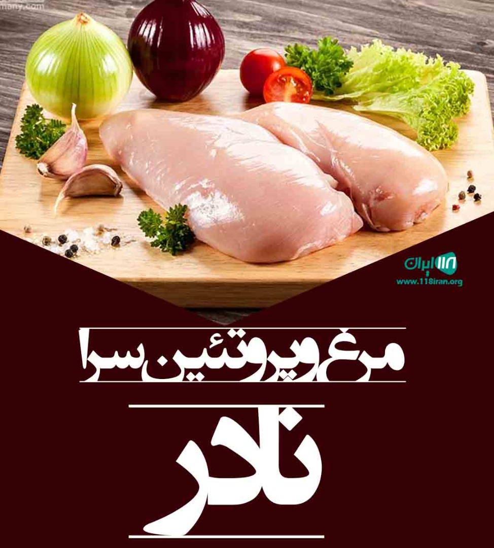 مرغ و پروتئین سرا نادر مراغه
