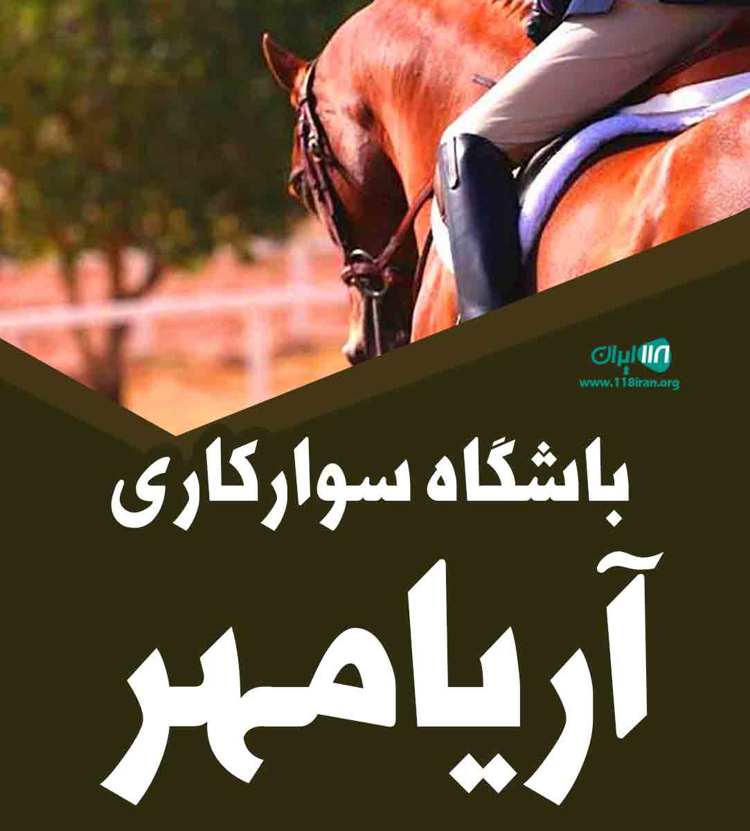 باشگاه سوارکاری آریامهر بویراحمد یاسوج