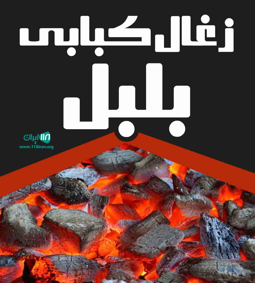 زغال کبابی بلبل در گلستان