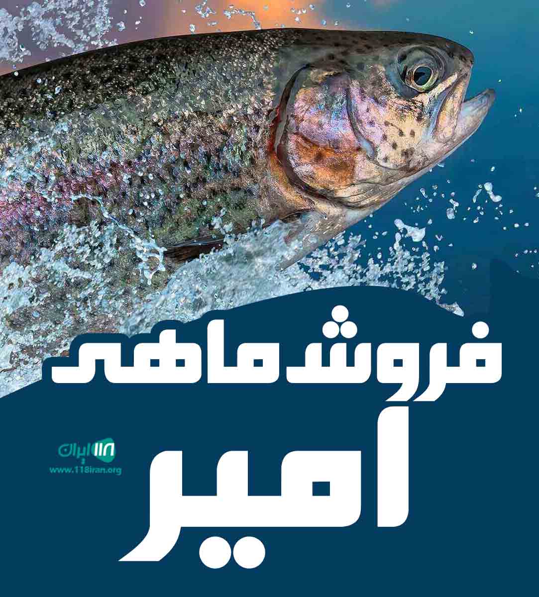 فروش ماهی امیر در بابل فروش ماهی امیر در بابل