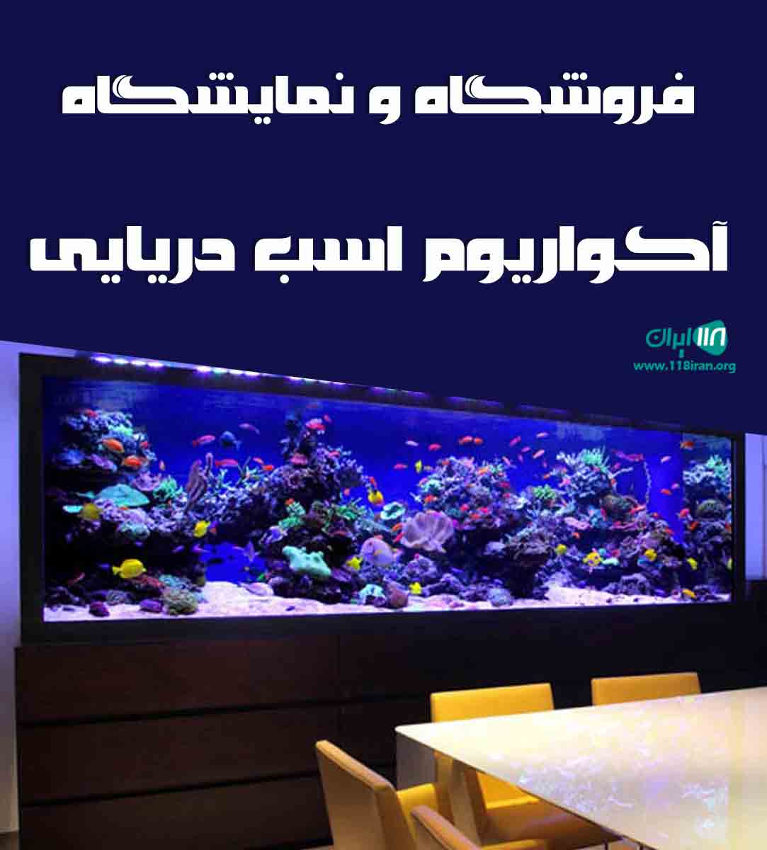 فروشگاه و نمایشگاه آکواریوم اسب دریایی در رشت