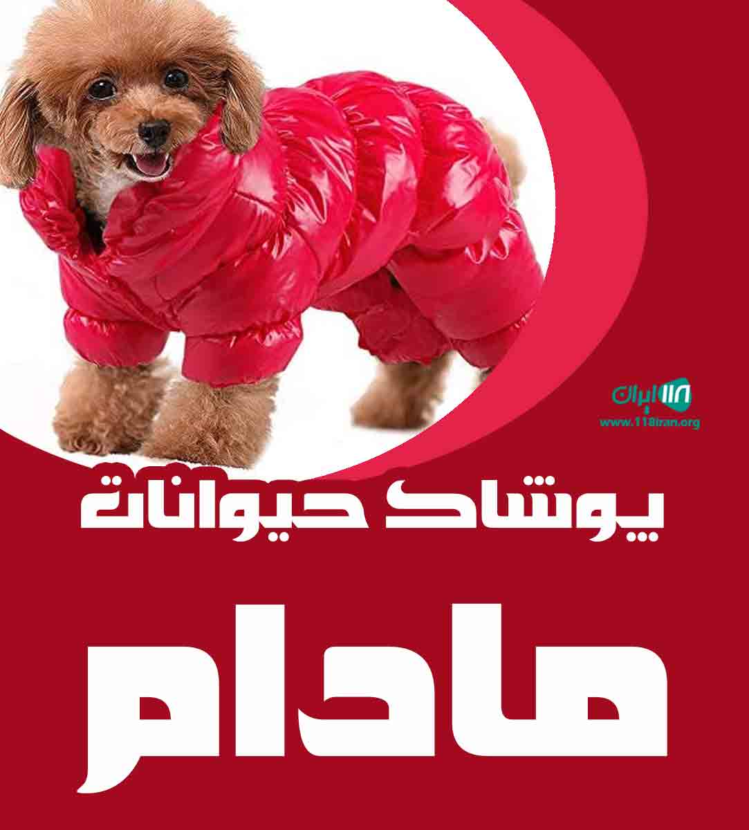 پوشاک حیوانات مادام در کیش