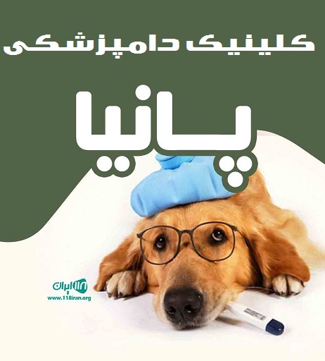 کلینیک دامپزشکی پانیا در تهران
