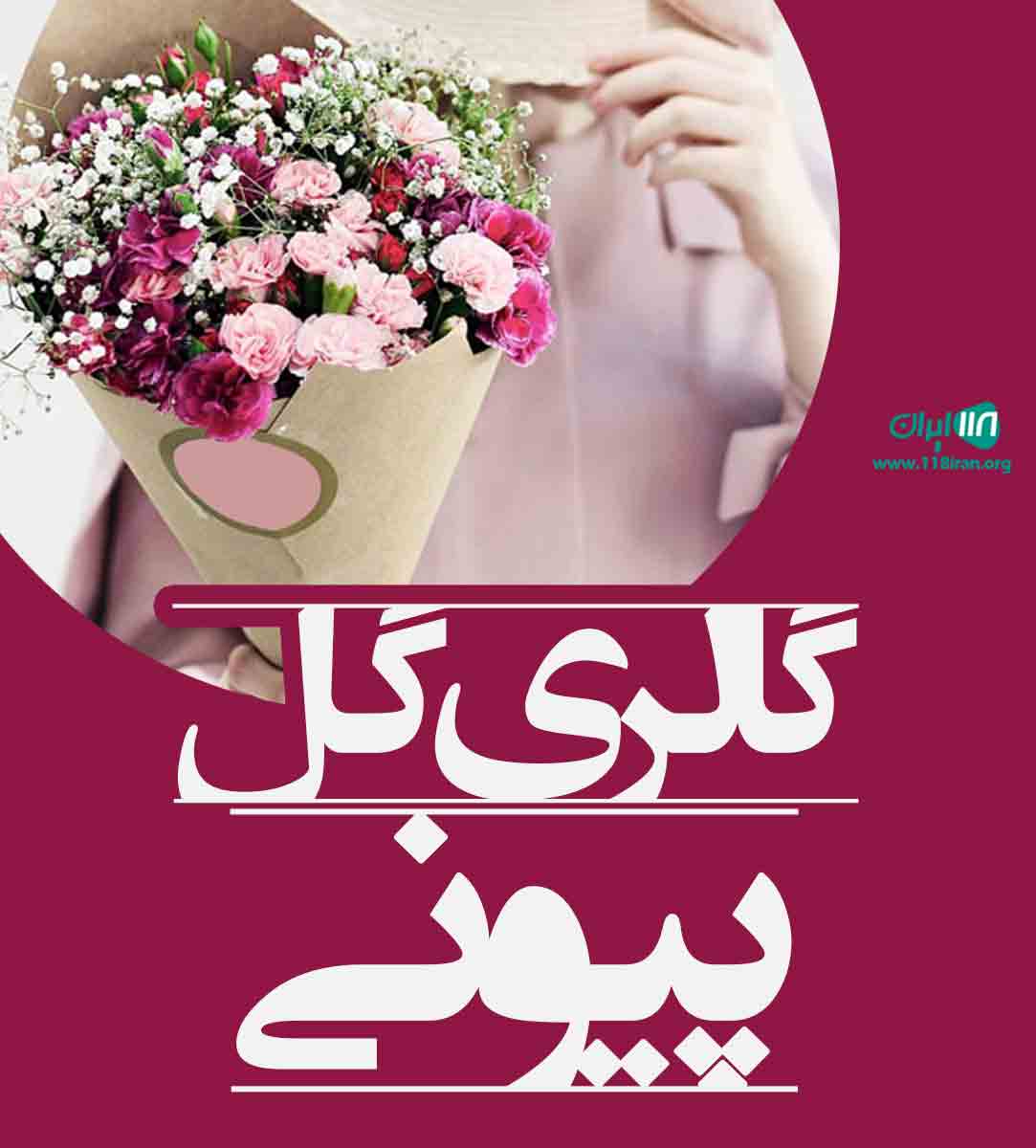 گالری گل پیونی در قزوین گالری گل پیونی در قزوین