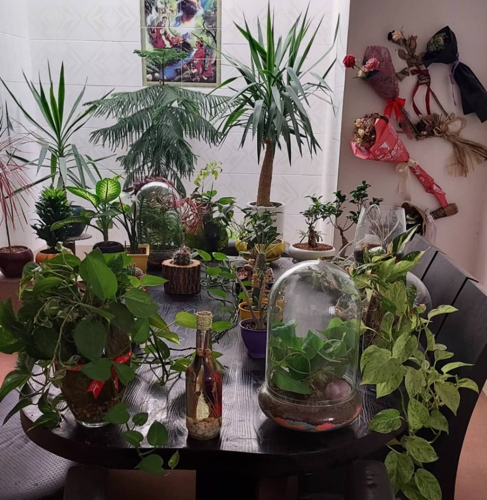 پیمانکاری فضای سبز جرکانی