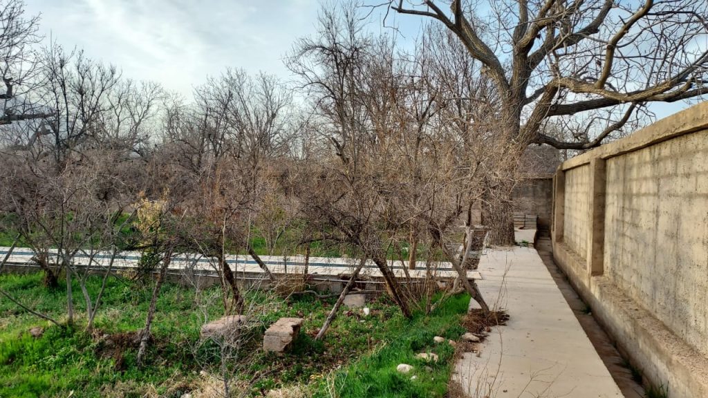 پیمانکاری فضای سبز جرکانی