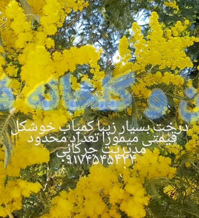 پیمانکاری فضای سبز جرکانی