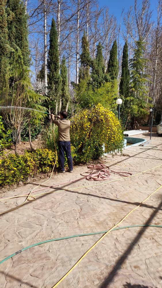 پیمانکاری فضای سبز جرکانی