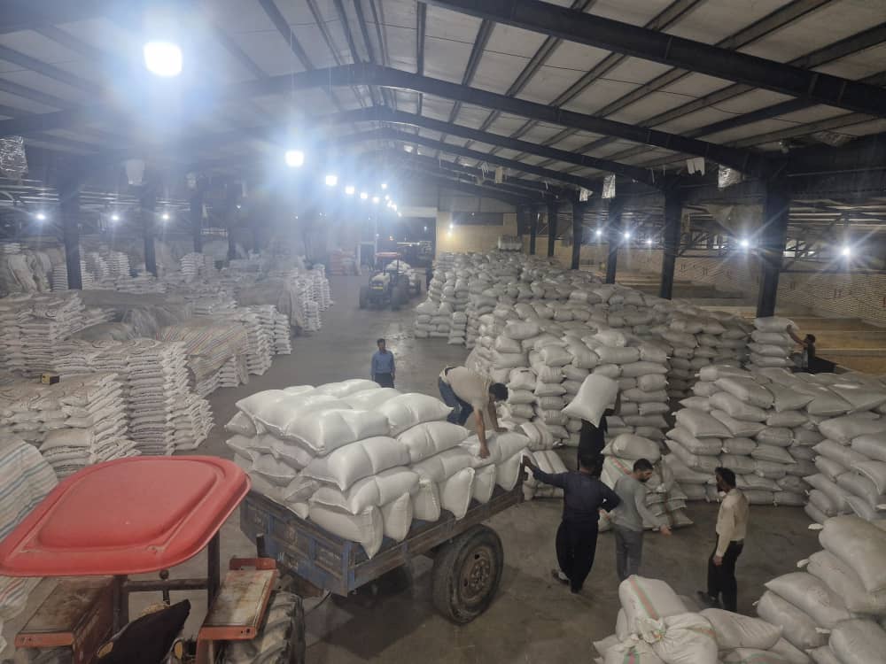 کارخانه برنج کوبی سفید دانه کارخانه برنج کوبی سفید دانه