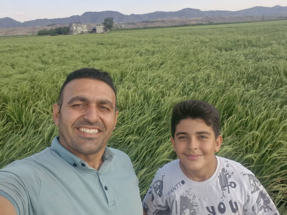 کارخانه برنج کوبی سفید دانه کارخانه برنج کوبی سفید دانه