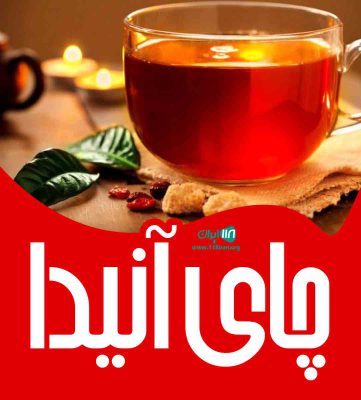 چای آنیدا در لاهیجان چای آنیدا در لاهیجان