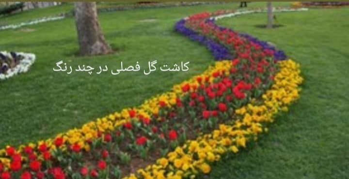 پیمانکاری فضای سبز جرکانی