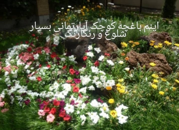 پیمانکاری فضای سبز جرکانی