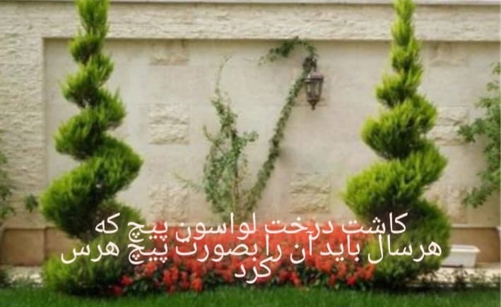 پیمانکاری فضای سبز جرکانی