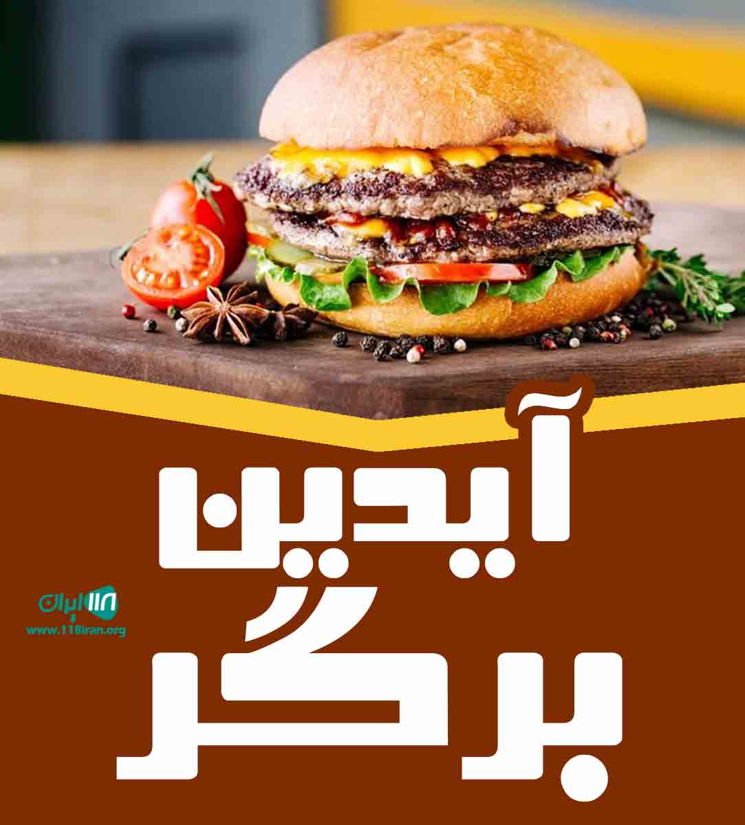 آیدین برگر در کرمان