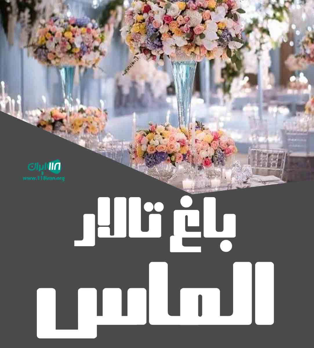 باغ تالار الماس بوشهر