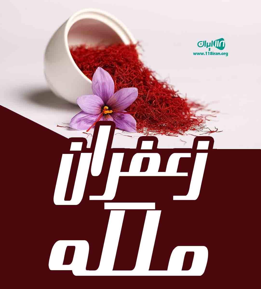 زعفران ملکه در خراسان جنوبی زعفران ملکه در خراسان جنوبی