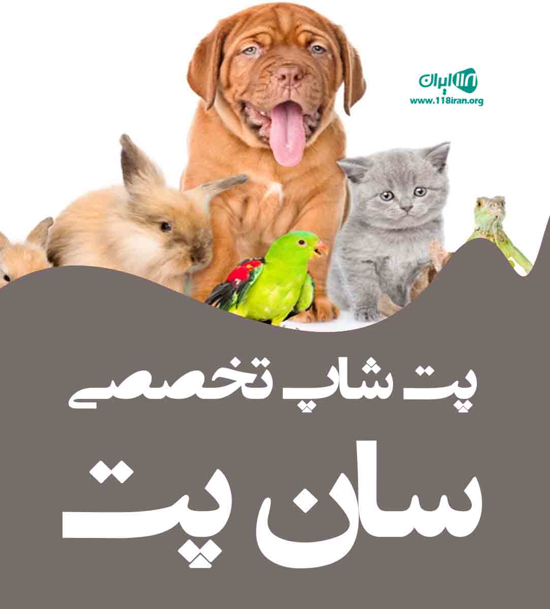 پت شاپ تخصصی سان پت در اهواز پت شاپ تخصصی سان پت در اهواز