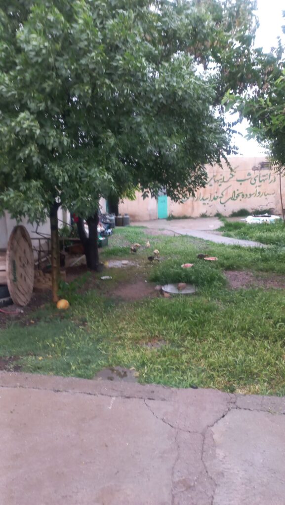 کمپ امید فردای فدک در قزوین