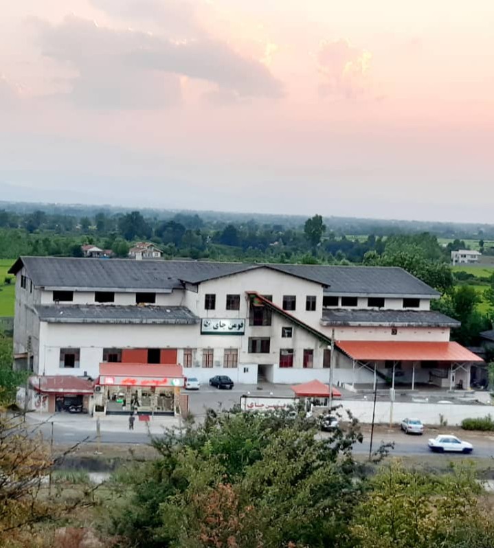 تولید و عرضه انواع چای سیاه و سبز فومن چای تولید و عرضه انواع چای سیاه و سبز فومن چای