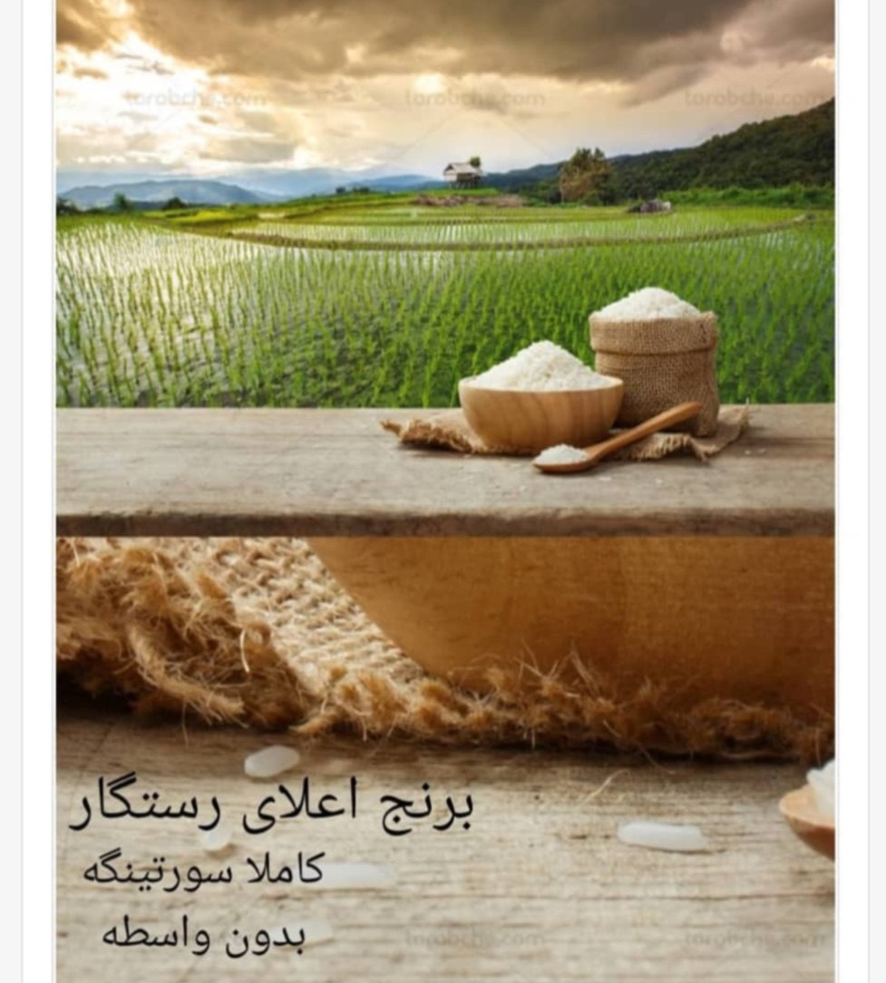 برنج فروشی رستگار