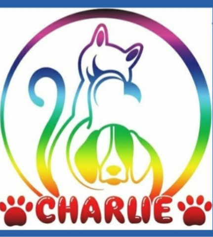 پت شاپ چارلی پردیس